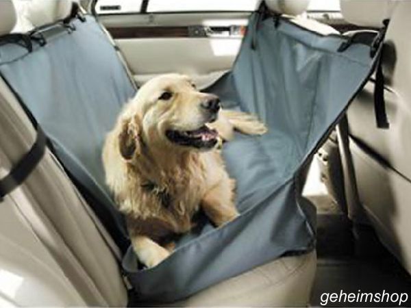 Hunde Schondecke fürs Auto