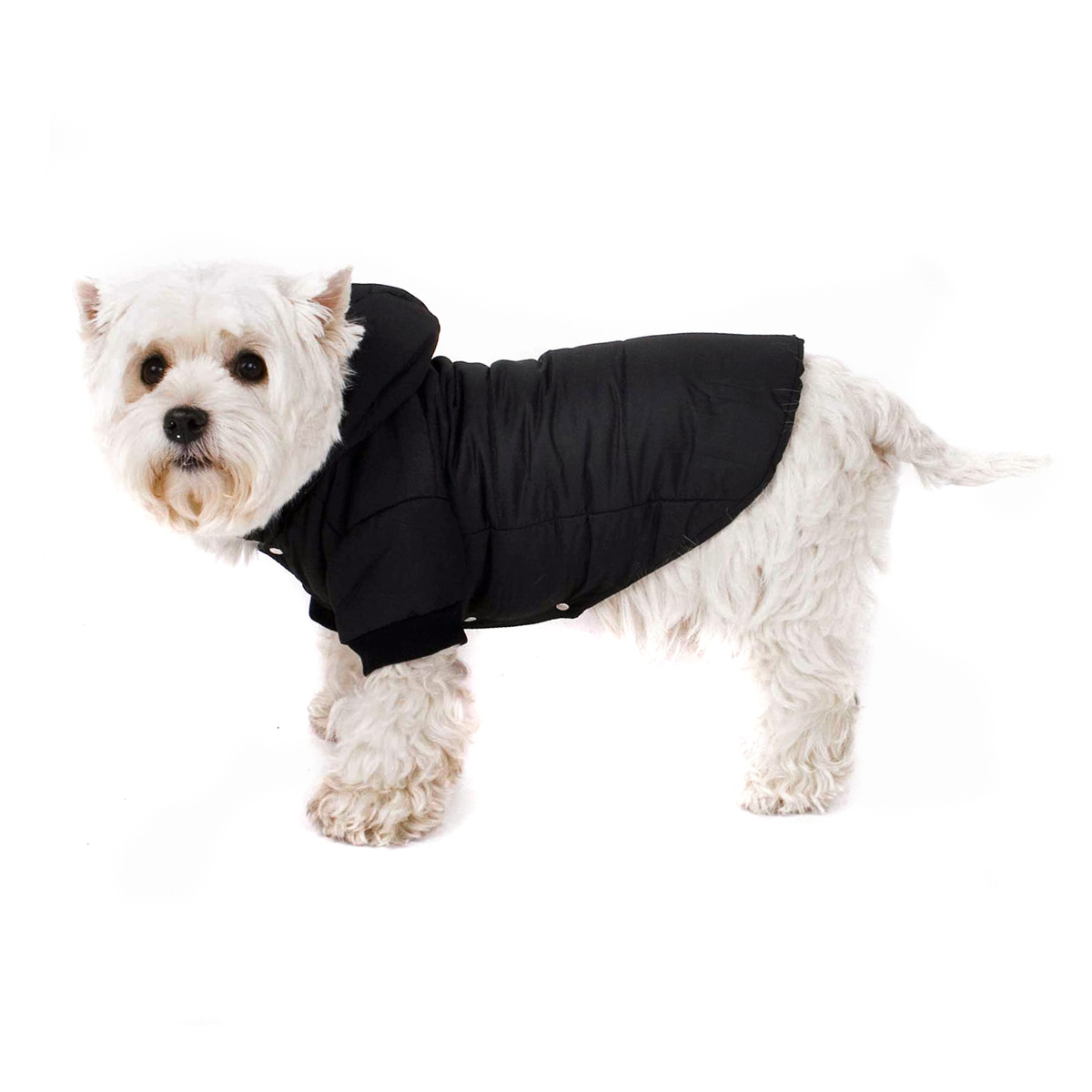 Hundemantel Hundejacke Hundeanorak Hundeparka Jacke für Hunde mit
