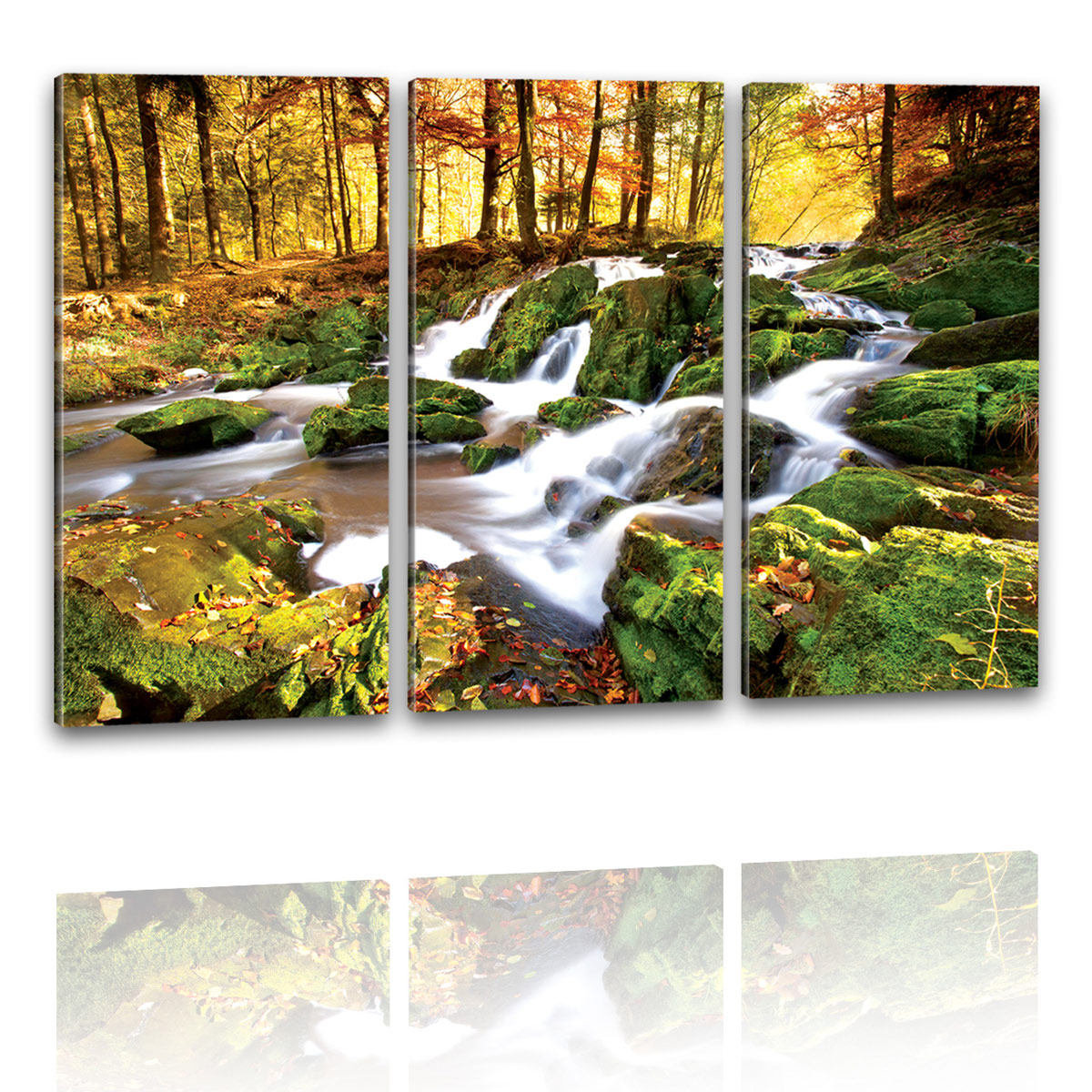 Leinwand Kunstdruck Bild Wandbild Poster See Panorama Landschaft Steg 739