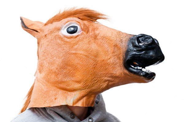 Mit Maske voll im Trend: Einhorn, Panda und Totenkopf!