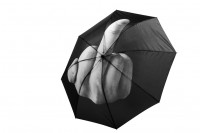 Fuck the Rain Regenschirm Mittelfinger Schirm