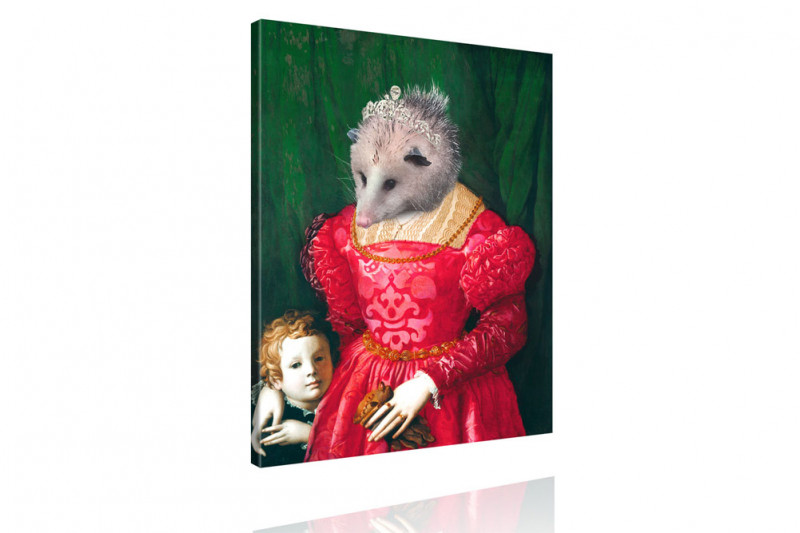 Tierportrait Igel Opossum