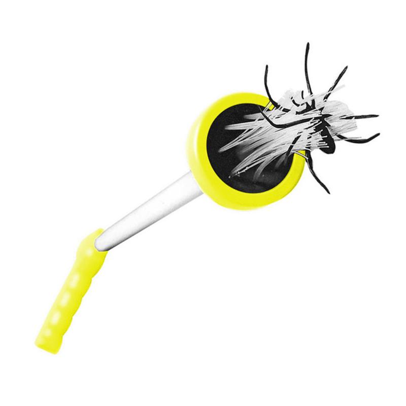 Spinnenfänger