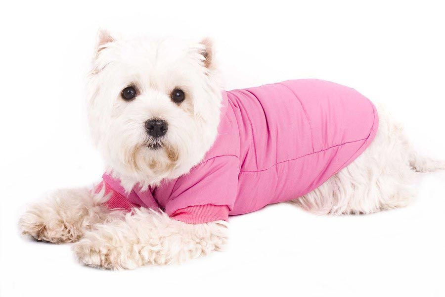 Hundemantel Anorak für Hunde Pink Rosa