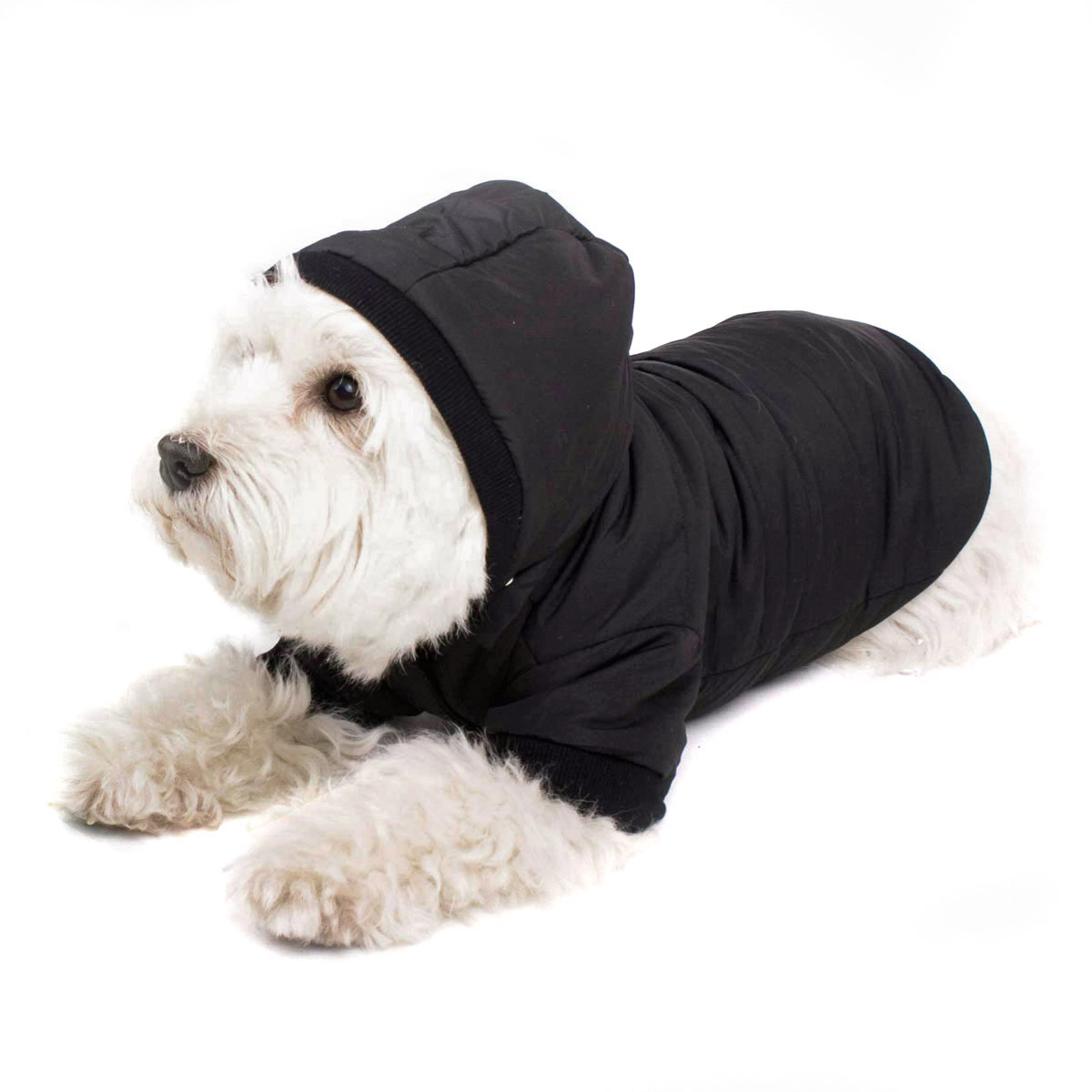 hundemantel für kleine hunde